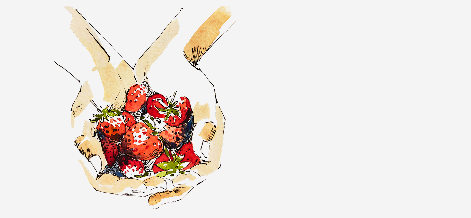 Illustration of hands holding strawberries