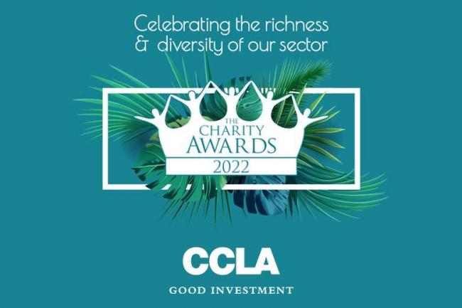 CCLA Charity Awards logo and strapline: celebrating the richness and diversity of our sector