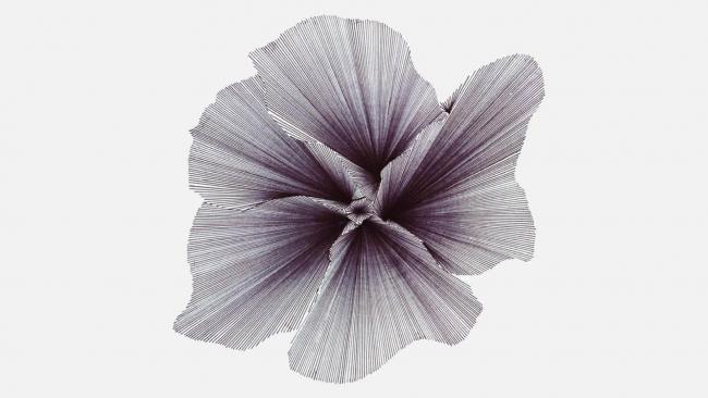 Abstract image of a flower