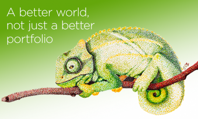 Image of a Chameleon with the text 'A better world, not just a better portfolio'